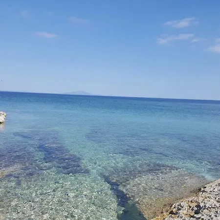Marija بولا