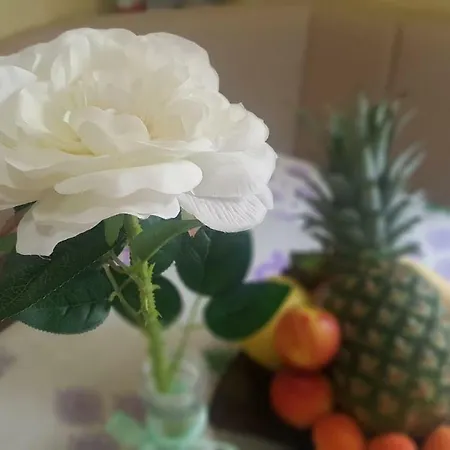 Marija Appartement *